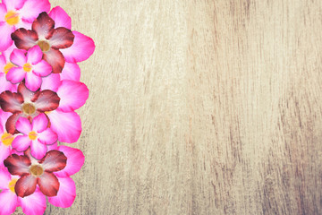Pink flower boder  with vintage brown wooden  texture background