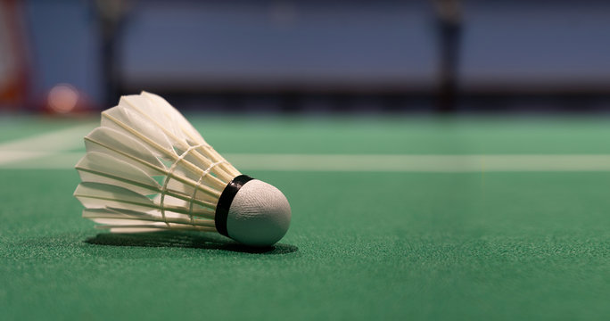 closeup beside white shuttle cock badminton drop on green polymer floor court with copy space.