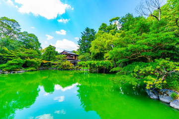 Fototapeta premium 京都御所 京都観光 日本