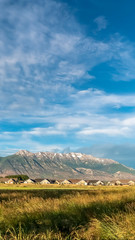 Vertical Scenic nature view with lush grassy field homes and towering snowy mountain