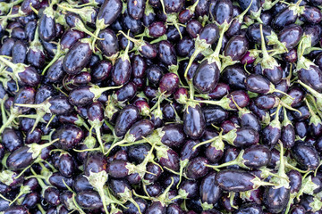 Fresh organic raw purple eggplants in farmer market in India.