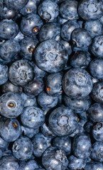 Heap of blueberry close up backgraund. Summer berries.
