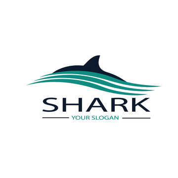 Design the shark vector logo for your company