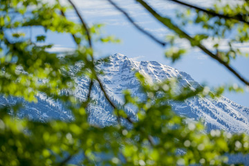 snow covered mountain range , named Ötscher, in lower Austria with a lush forest in the foreground
