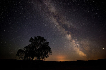the night sky of August, the milky Way, a lonely tree standing on a mountain and falling stars