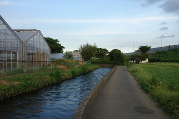 Fototapeta na wymiar ビニールハウスと用水路の見える道