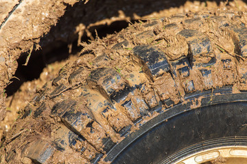 SUV wheel stalled in mud and water