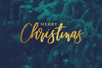 Gold Merry Christmas Script with Duotone Evergreen Branches Background