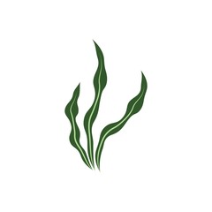 Obraz premium Seaweed logo template vector icon