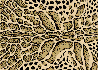 Clouded leopard skin pattern design. Leopard spots print vector illustration background. Wildlife fur skin design illustration for print, web, home decor, fashion, surface, graphic design © leavector