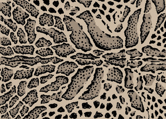 Clouded leopard skin pattern design. Leopard spots print vector illustration background. Wildlife fur skin design illustration for print, web, home decor, fashion, surface, graphic design