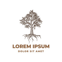Acorn in oak life of tree logo