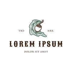 Fototapeta premium Brown acorn and green oak leaf logo template