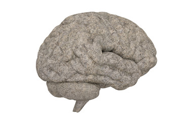 Stone brain isolated on white background, 3D illustration.