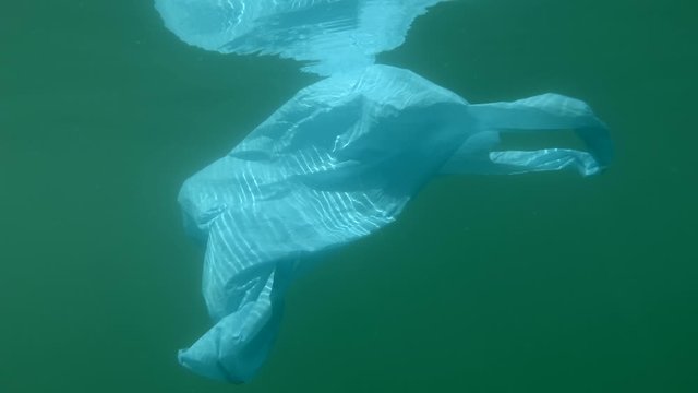 Plastic pollution, a discarded blue plastic bag drifting in the green water reflected from surface. Plastic bags environmental pollution problem. Underwater shot, Black Sea