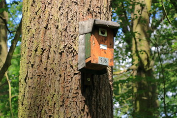 birdhouse in the autumn forest