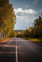 Fototapeta premium autumn for the background