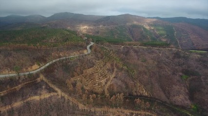 Aerial. Portuguese forest Monchique, after the fires view from the sky.