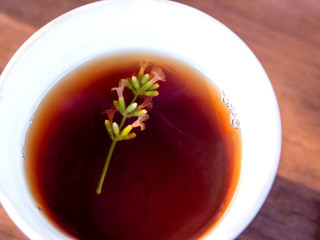 blooming lavender sprig in black tea