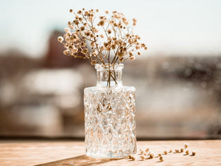 Bouquet of dried Baby's breath flowers in glass bottle