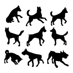 Isolated Dogs on the white background. Animals silhouettes. Vector EPS 10.	