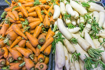 Pile of fresh carrots and white radish at marketplace