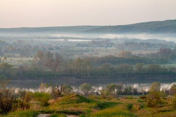 Naklejka na ściany i meble morning reeds mist fog and surface on the river