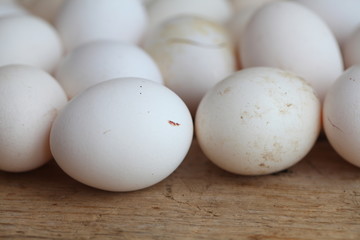 Fresh farm chicken eggs on the counter.