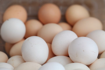 Fresh farm chicken eggs on the counter.