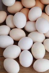 Fresh farm chicken eggs on the counter.