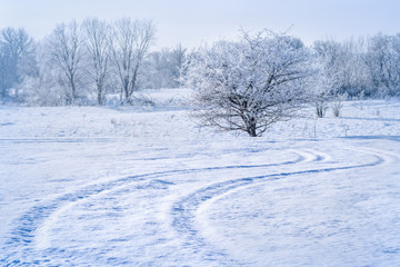 Fototapeta na wymiar Track from car wheels on snow and trees on a frosty winter day