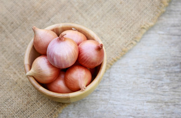 rd big shallot for cooking 