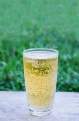 Fresh beer for drinking in home 