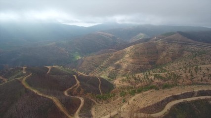 Aerial. Portuguese forest Monchique, after the fires view from the sky.