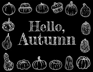 Hello autumn chalkboard inscription cute cozy banner with pumpkins. Autumn festive blackboard poster. Fall harvest greetings postcard