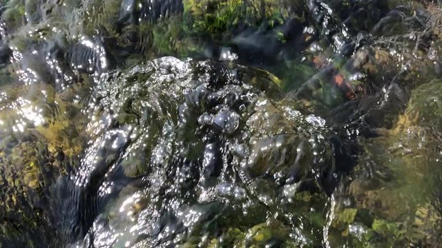 Flowing river closeup. Stones and water.