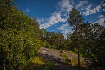 Fototapeta na wymiar Landscape with rocks and trees. Scenic view on Lake Ladoga. The nature of Karelia