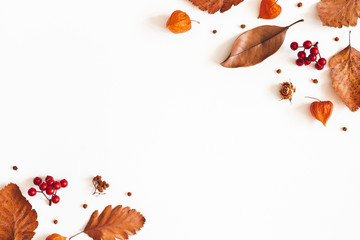 Autumn composition. Dried leaves, flowers, rowan berries on white background. Autumn, fall, thanksgiving day concept. Flat lay, top view, copy space - 286649983
