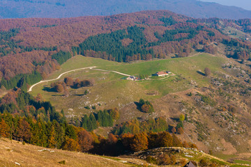 The plateau of Cansiglio