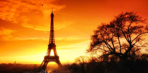 Fotobehang winter ligt on Eiffel tower © hassan bensliman