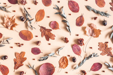 Autumn composition. Pattern made of dried leaves, flowers, acorns on beige background. Autumn, fall concept. Flat lay, top view