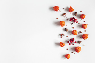 Autumn composition. Physalis flowers, leaves, rowan berries on gray background. Autumn, fall, thanksgiving day concept. Flat lay, top view, copy space