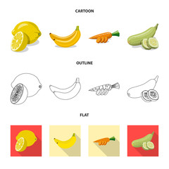 Vector design of vegetable and fruit icon. Set of vegetable and vegetarian stock symbol for web.