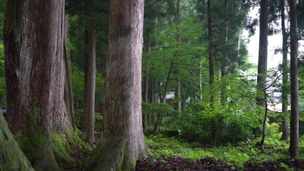 Oyama shrine in Toyama, Japan.