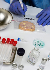 Expert analyzes stuffed meat contaminated by bacterium of listeria in laboratory, sprout caused in Spain