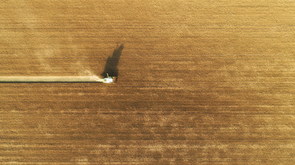 Aerial view on combine harvester gathers the wheat at sunset. Harvesting grain field, crop season....
