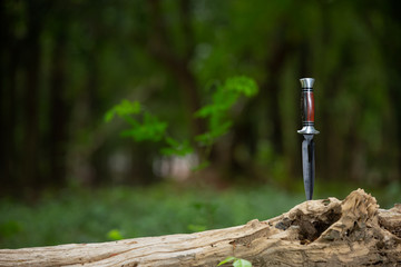 Travel knife on wood with forest background.