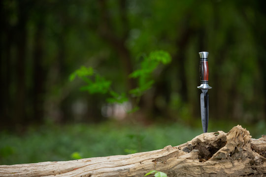 Travel knife on wood with forest background.
