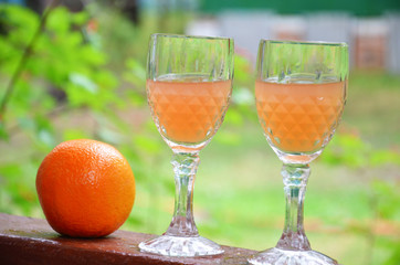 Glass of aperol spritz cocktail on a background of green foliage, selective focus