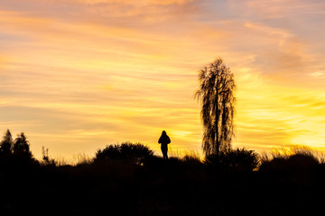 Person silhoutted by the sunrise, Uluru-Kata Tjuta National Park, NT, Australia